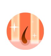 Dermes HPD雙波長激光