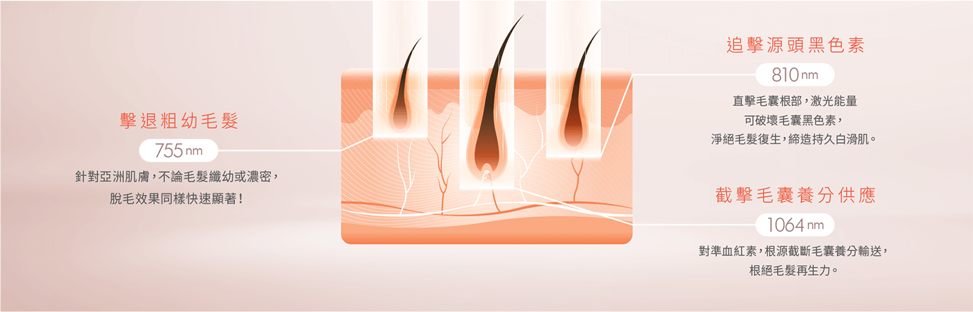 dermes全港獨家3波長脫毛技術