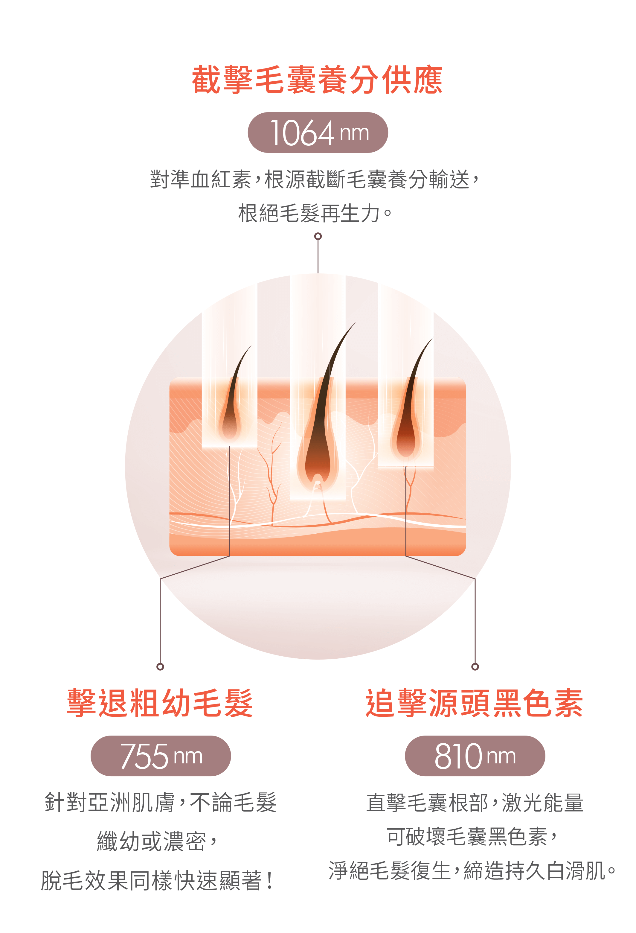 dermes全港獨家3波長脫毛技術